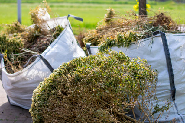 Basement Cleanout Services in Cheltenham Village, PA